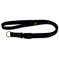 Lanyard