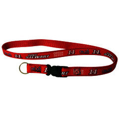 Lanyard