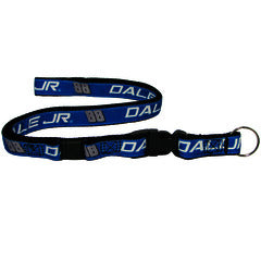 Lanyard