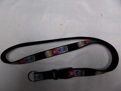 Lanyard